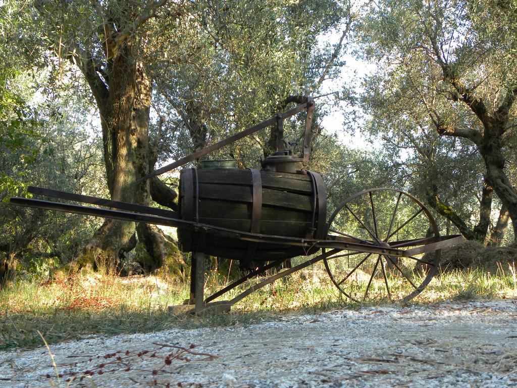 Fattoria Di Camporomano Massarosa Eksteriør billede