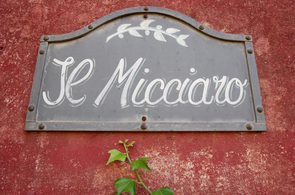 Fattoria Di Camporomano Massarosa Værelse billede